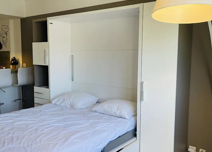 Proche Centre Farn4 Lejlighed Cannes